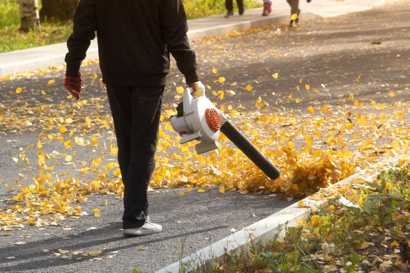 Professional Equipment for Leaf Clearing