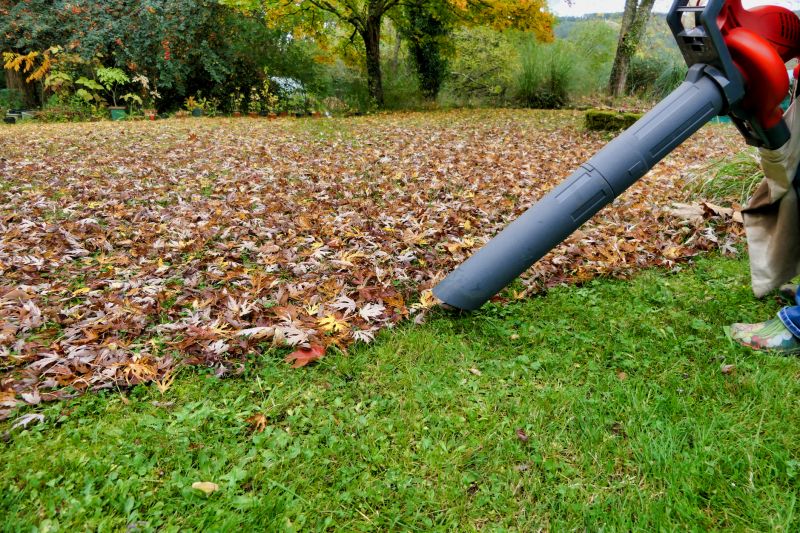 Fall Lawn Preparation Tools