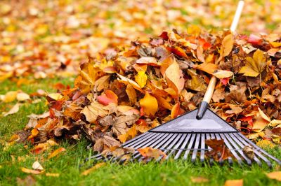 Mulching Leaves for Lawn Health