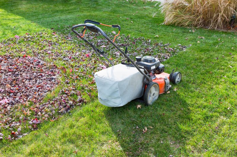 Seasonal Yard Equipment
