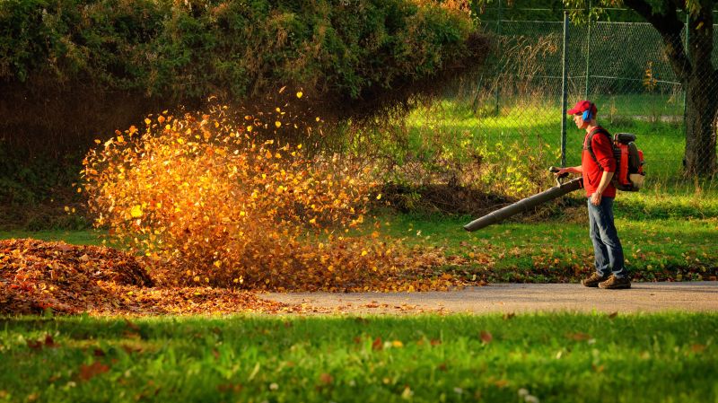 Leaf Removal Service