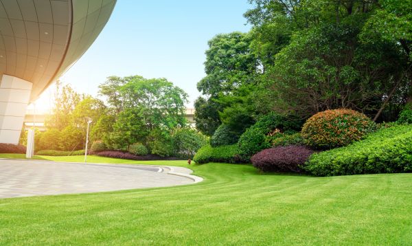 Cost of Commercial Lawn Mowing in Glen Allen