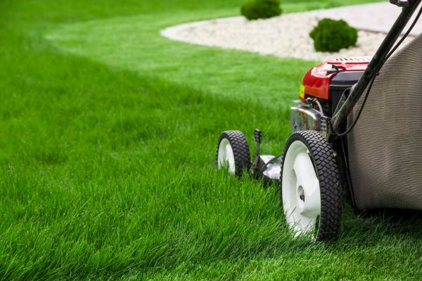 Cost of Mowing Service in Glen Allen