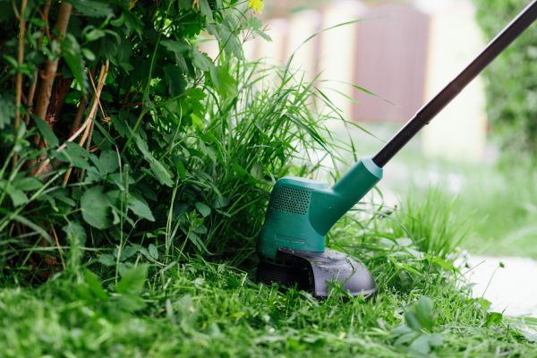 Cost of Weed Whacking in Glen Allen