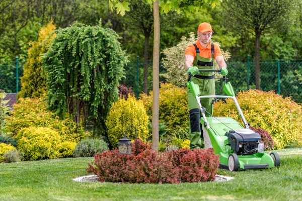 Cost of Yard Service in Glen Allen