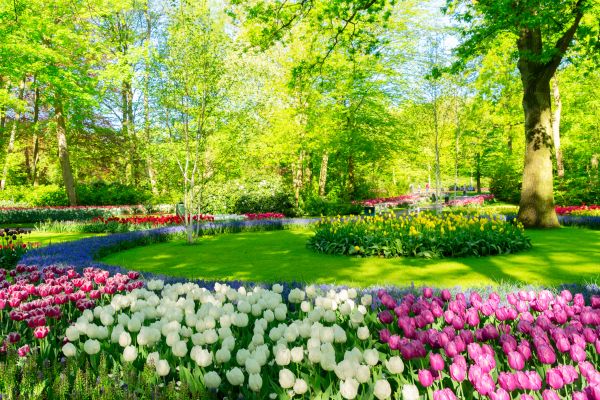 Cost of Spring Lawn Care in Glen Allen