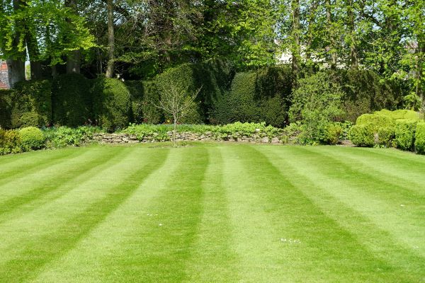 Cost of Grass Care Service in Glen Allen