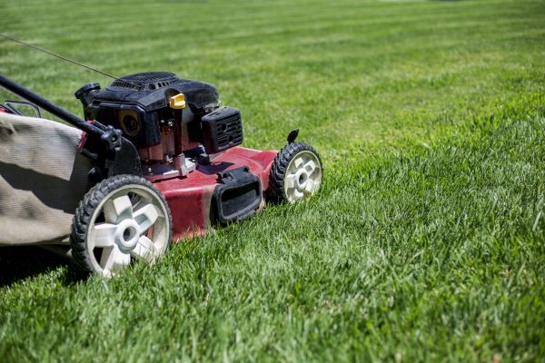 Cost of Routine Lawn Care in Glen Allen