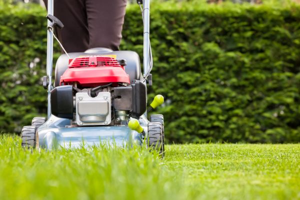 Cost of Grass Trimming Service in Glen Allen