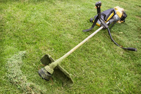 Cost of Hillside Weed Whacking in Glen Allen