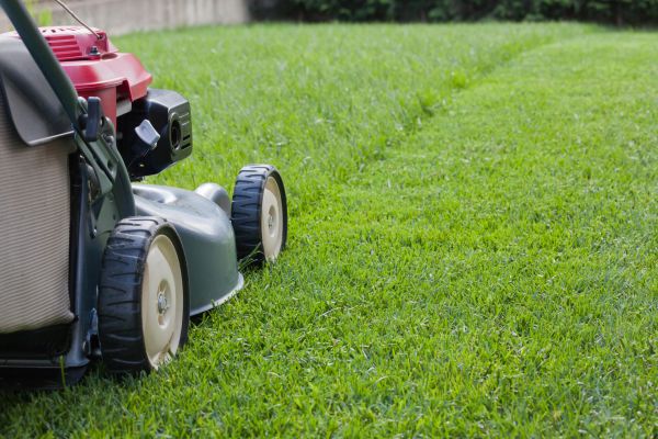 Cost of Spring Lawn Maintenance in Glen Allen