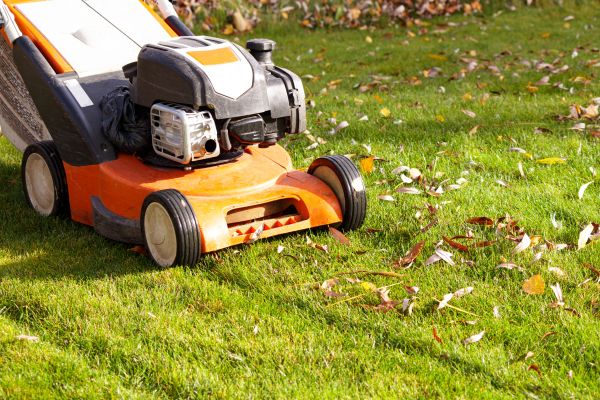 Cost of Fall Mowing in Glen Allen